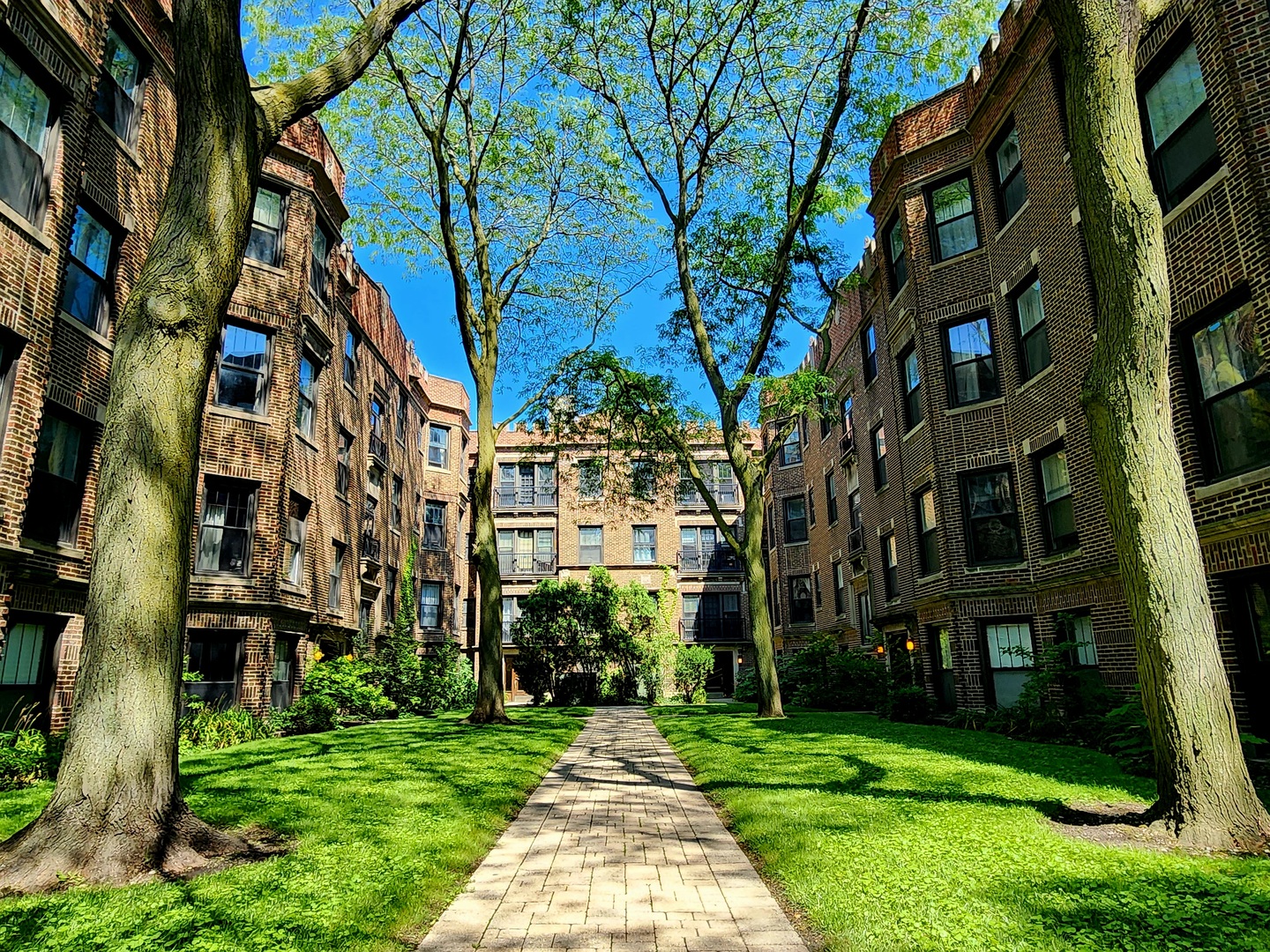 6255 North Sheridan Road, Unit 36 Chicago, IL 60660 - Photo 2 of 25 a view of a building with a yard