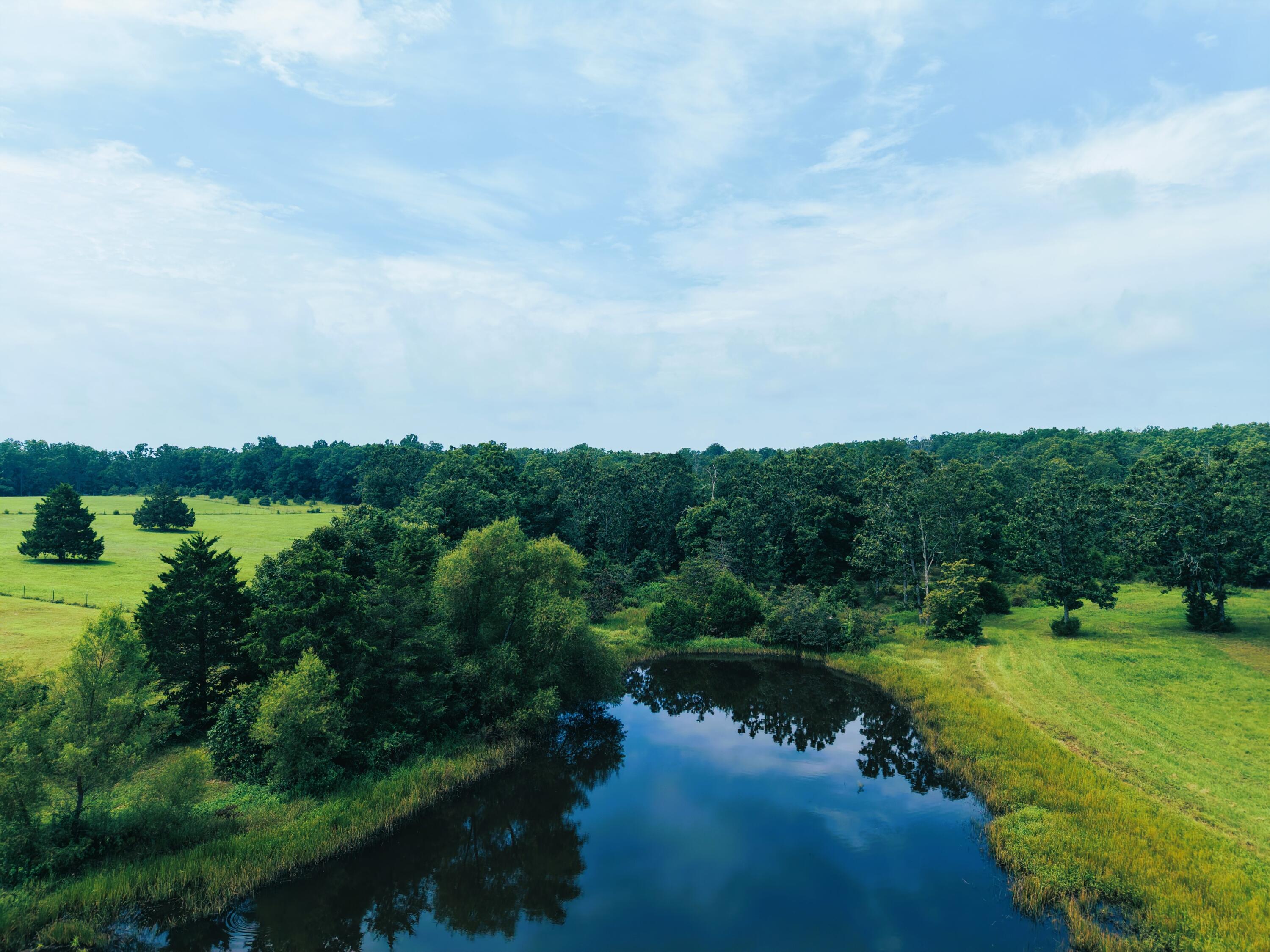 3379 State Route West Summersville, MO 65571 - Photo 68 of 88 Hwy W 4