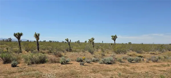 $28,500 | 0 173rd E W-12, Llano, CA 93544