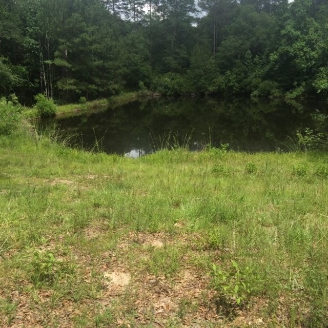 21474 Plywood Mill Road Andalusia, AL 36421 - Photo 36 of 43 Gallery Image 36