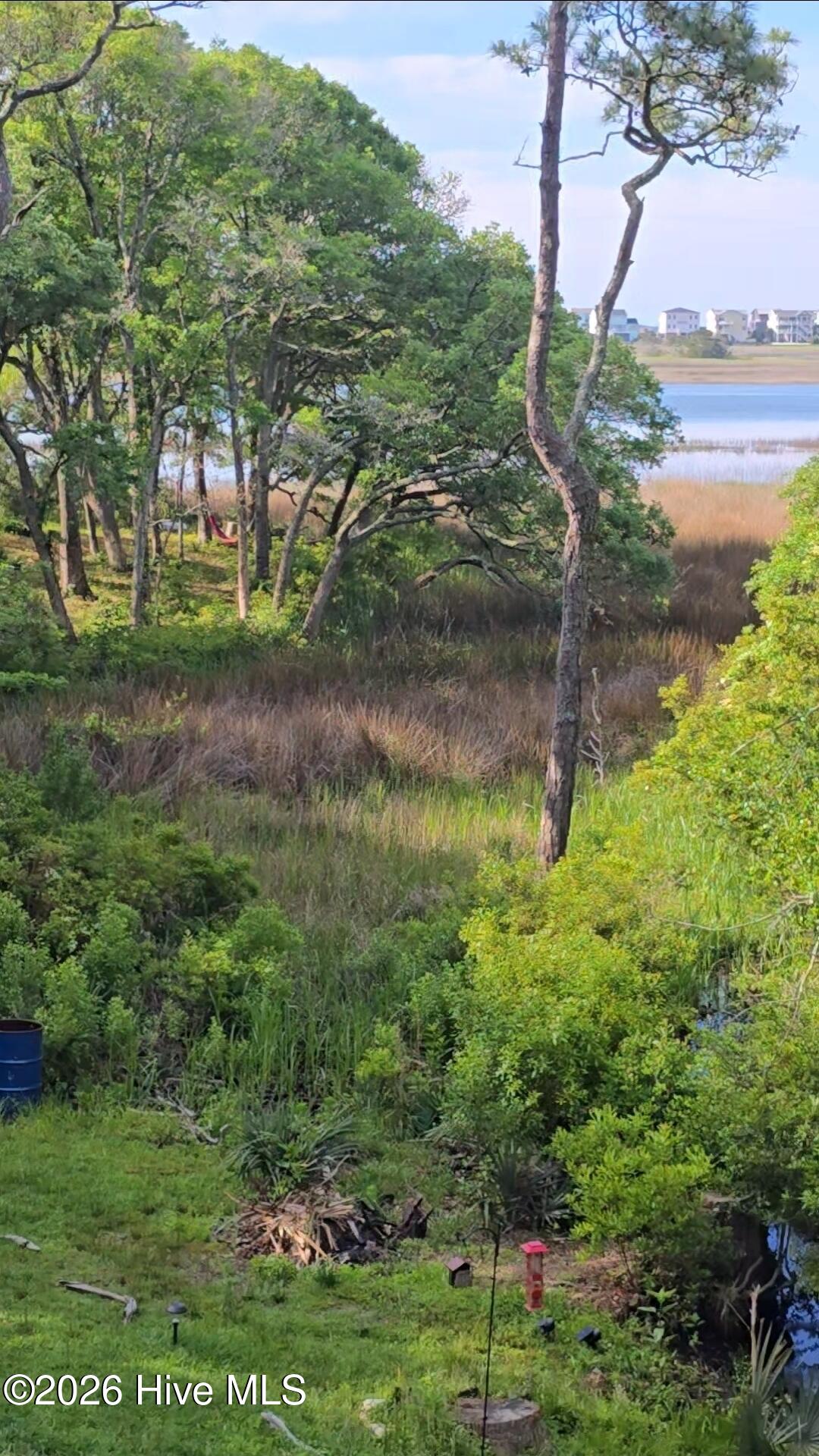 2659 Seashore Road Southwest Supply, NC 28462 - Photo 37 of 77 Saltmarsh to Intra-Coastal