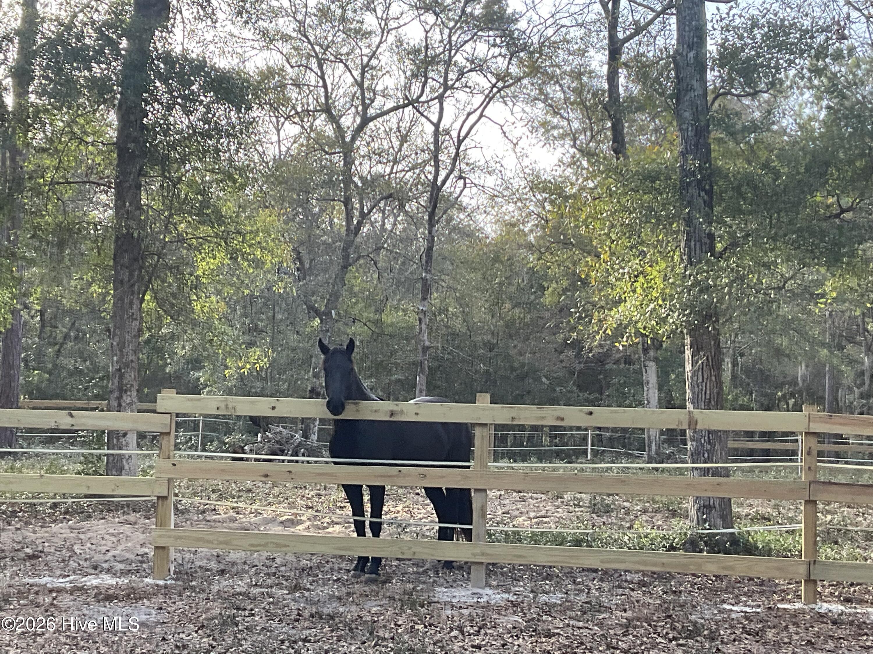 2659 Seashore Road Southwest Supply, NC 28462 - Photo 61 of 77 Front Pasture