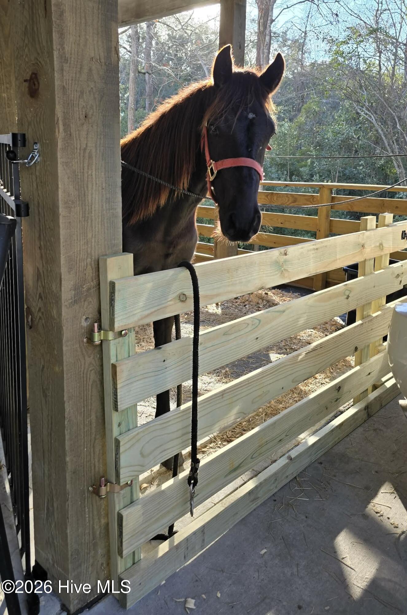 2659 Seashore Road Southwest Supply, NC 28462 - Photo 71 of 77 Large 20x12 Stall and Wash and Tack area