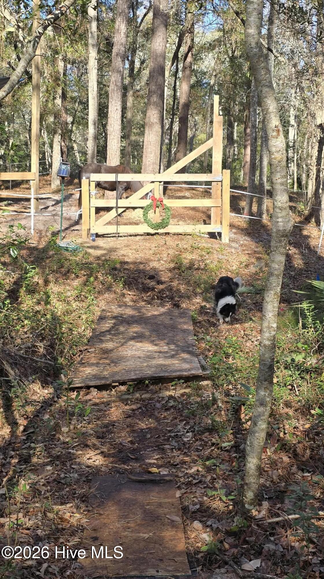 2659 Seashore Road Southwest Supply, NC 28462 - Photo 72 of 77 Nature trails