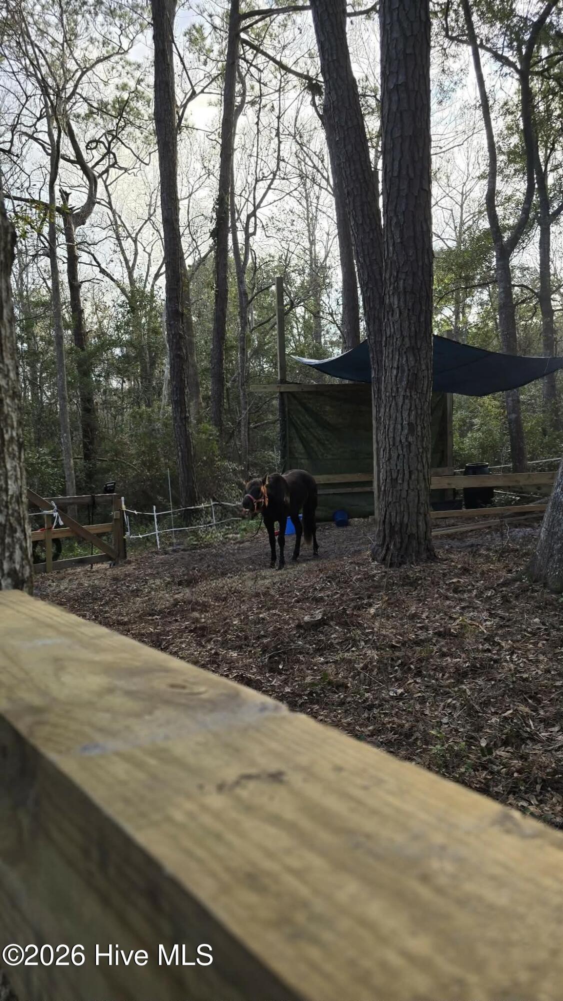 2659 Seashore Road Southwest Supply, NC 28462 - Photo 73 of 77 2 Fenced Pastures