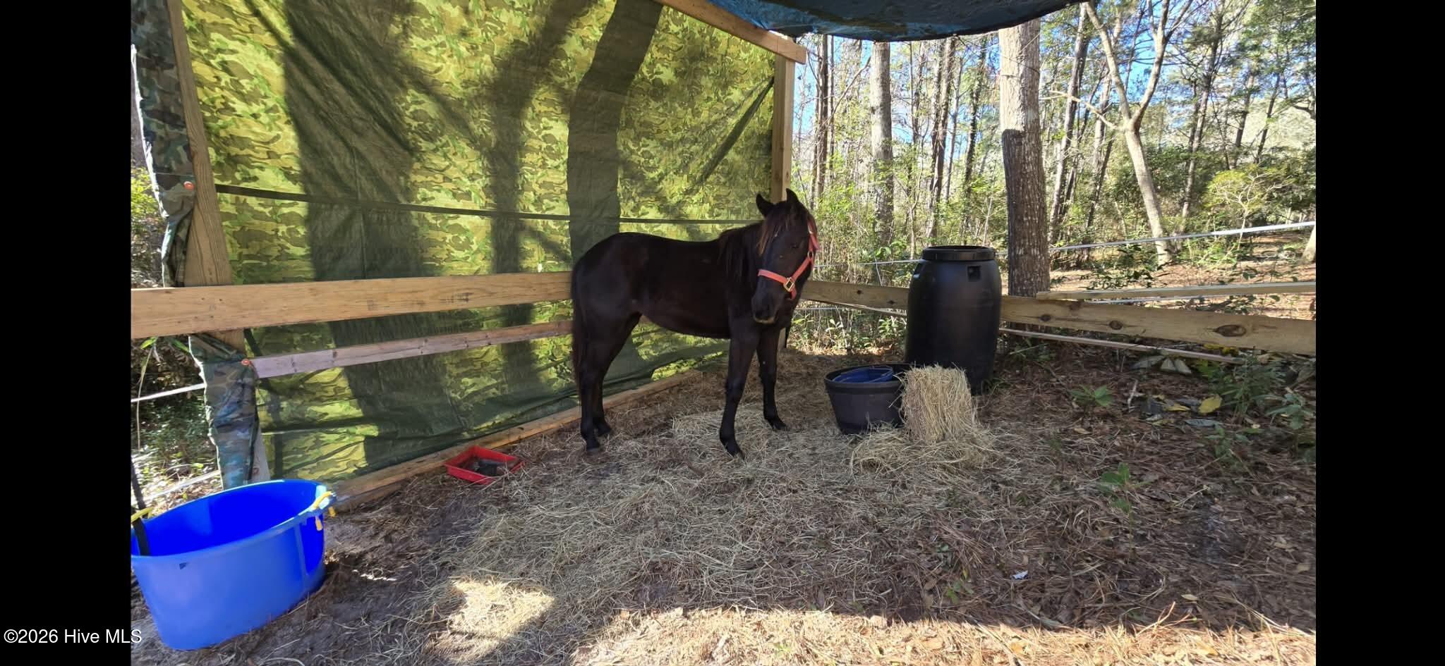 2659 Seashore Road Southwest Supply, NC 28462 - Photo 74 of 77 Run in Shed