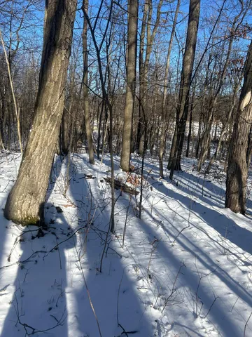 $19,900 | Xxx Cardinal Trail, Randall, MN 56475