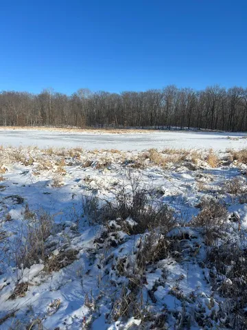 $19,900 | Xxx Cardinal Trail, Randall, MN 56475