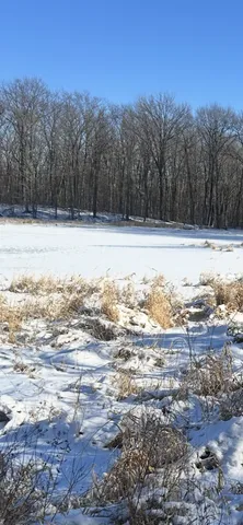 $19,900 | Xxx Cardinal Trail, Randall, MN 56475