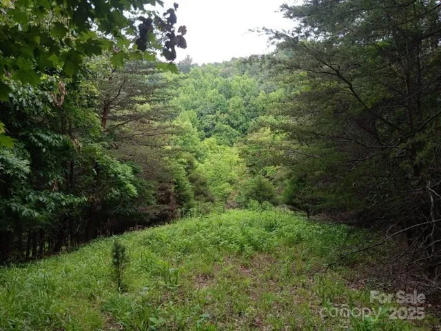 $499,000 | 2255 Highway 268, Wilkesboro, NC 28697