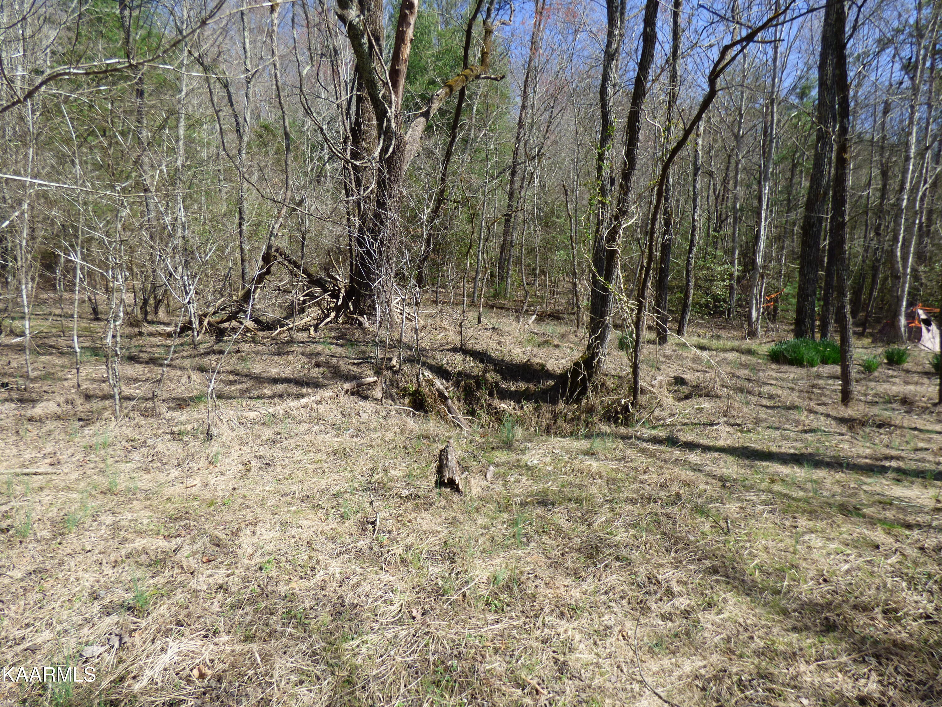 446 Huse Watson Road Oakdale, TN 37829 - Photo 19 of 48 P1060657