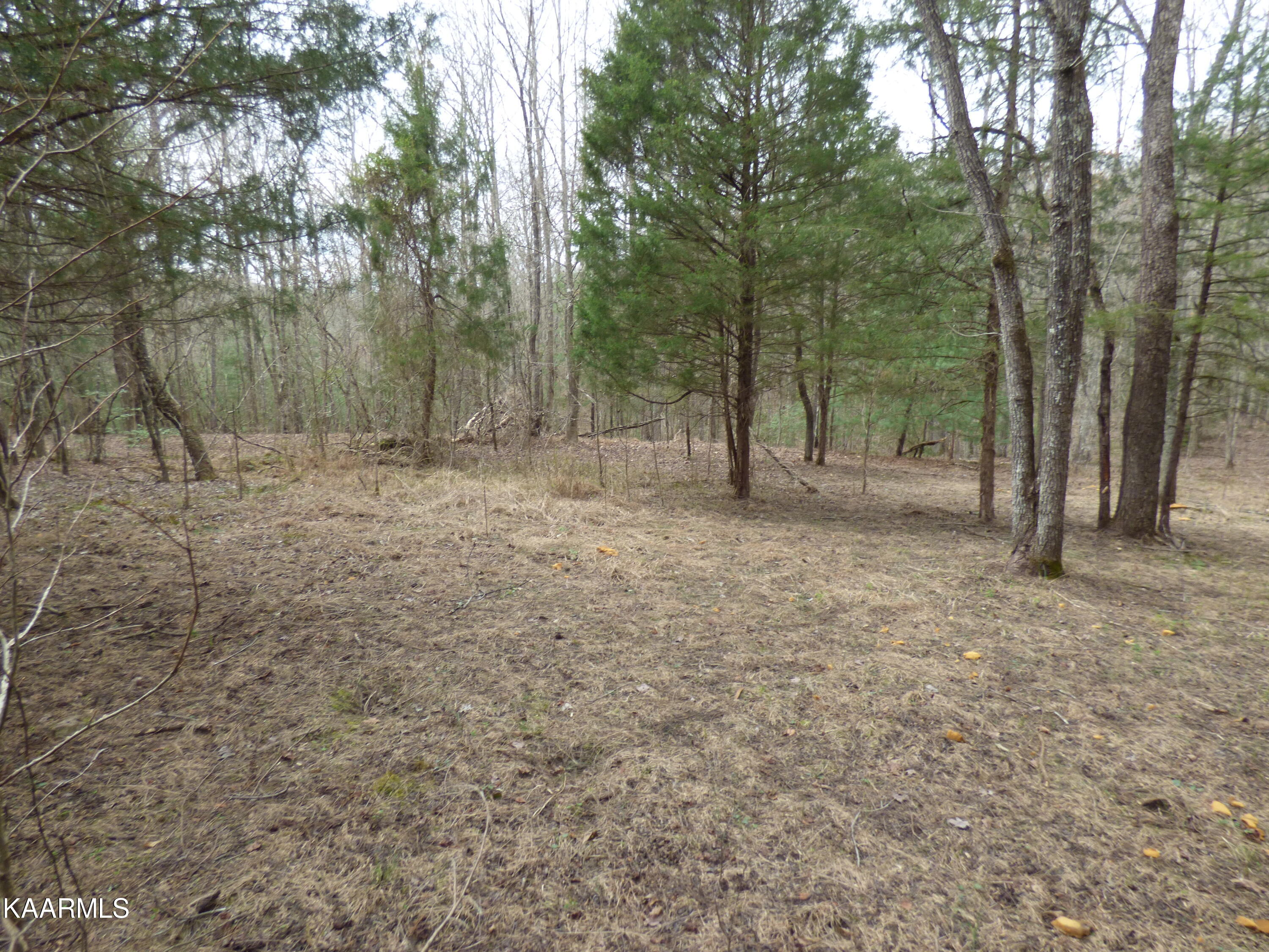 446 Huse Watson Road Oakdale, TN 37829 - Photo 48 of 48 P1060728