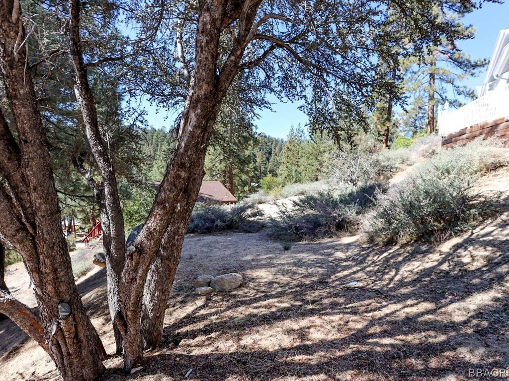 0 Cedar Dell Road Fawnskin, CA 92333 - Photo 1 of 11