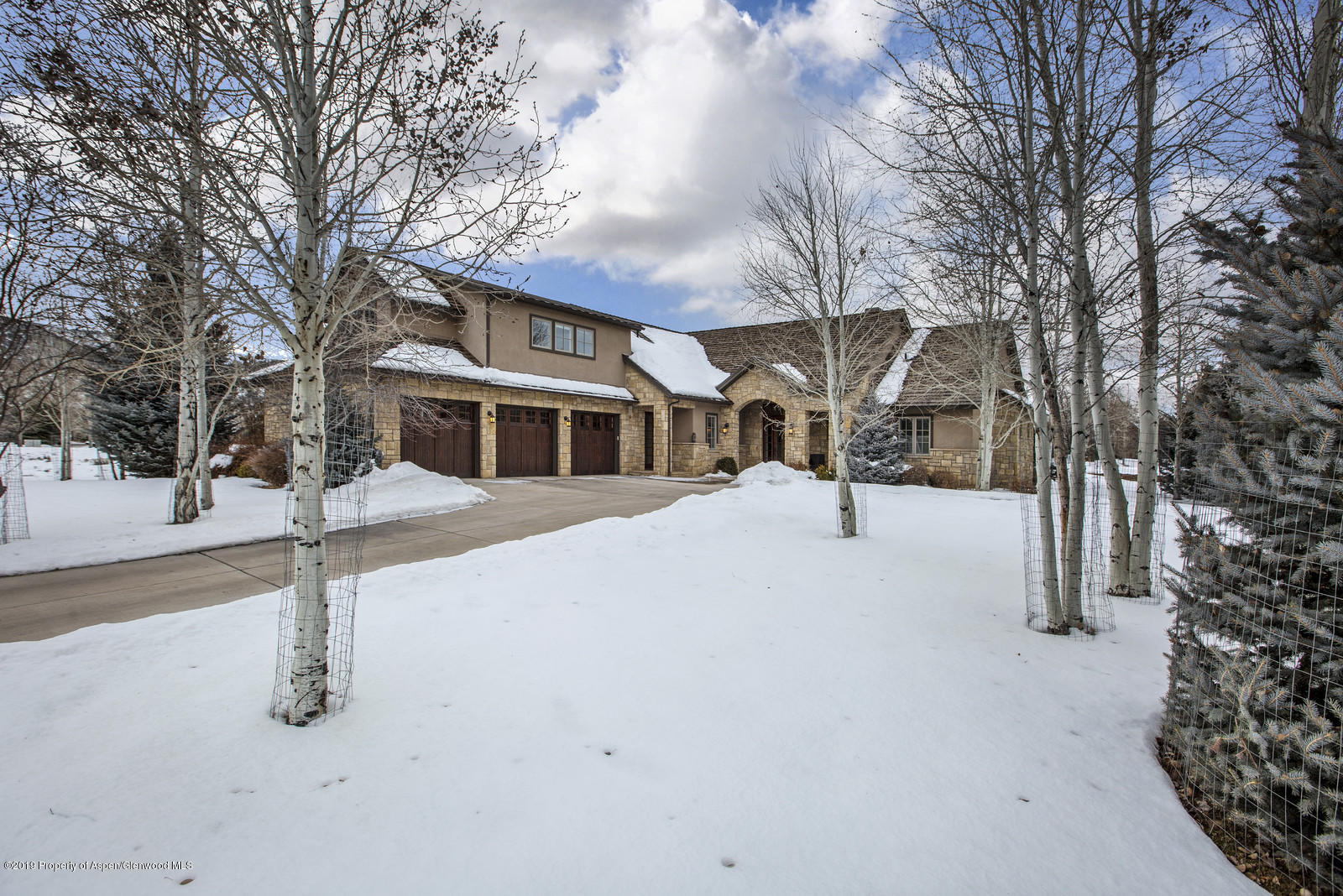 87 Diamond A Ranch Road Carbondale, CO 81623 - Photo 2 of 50 a street view with large trees