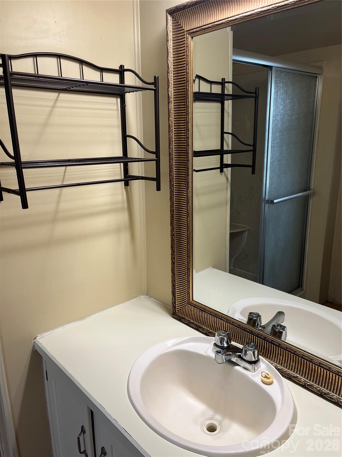 28616 Canton Road Albemarle, NC 28001 - Photo 28 of 31 a bathroom with a sink and a mirror