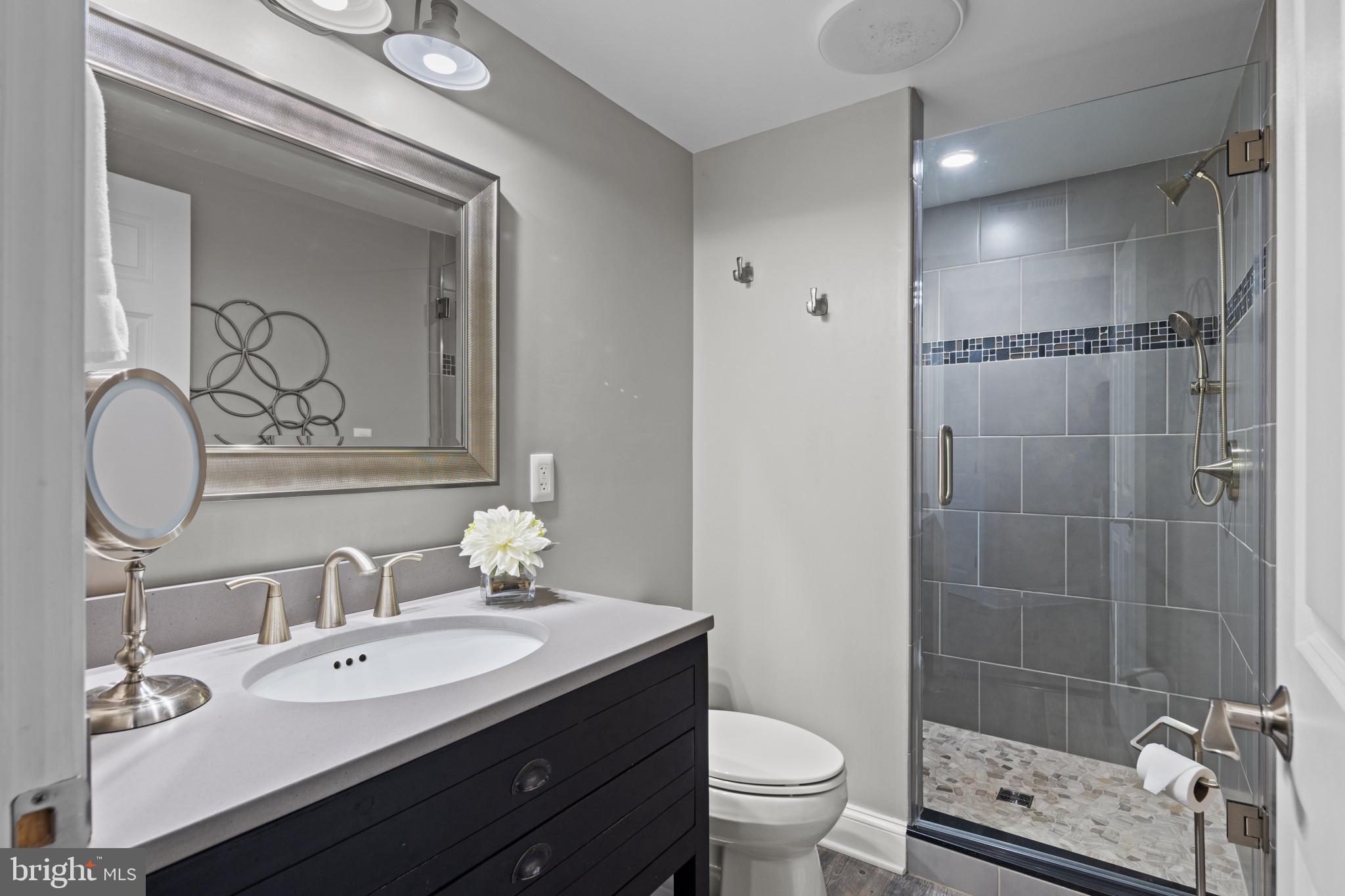 1140 Bernoudy Road White Hall, MD 21161 - Photo 49 of 81 a bathroom with a sink a toilet and shower