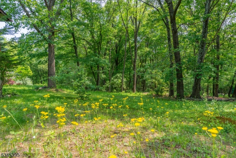 992 Stillwater Road Newton, NJ 07860 - Photo 31 of 31