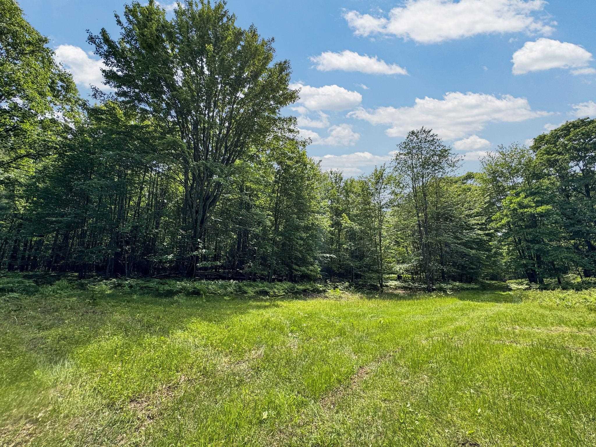Parcel B Seeley Road Cadillac, MI 49651 - Photo 15 of 17