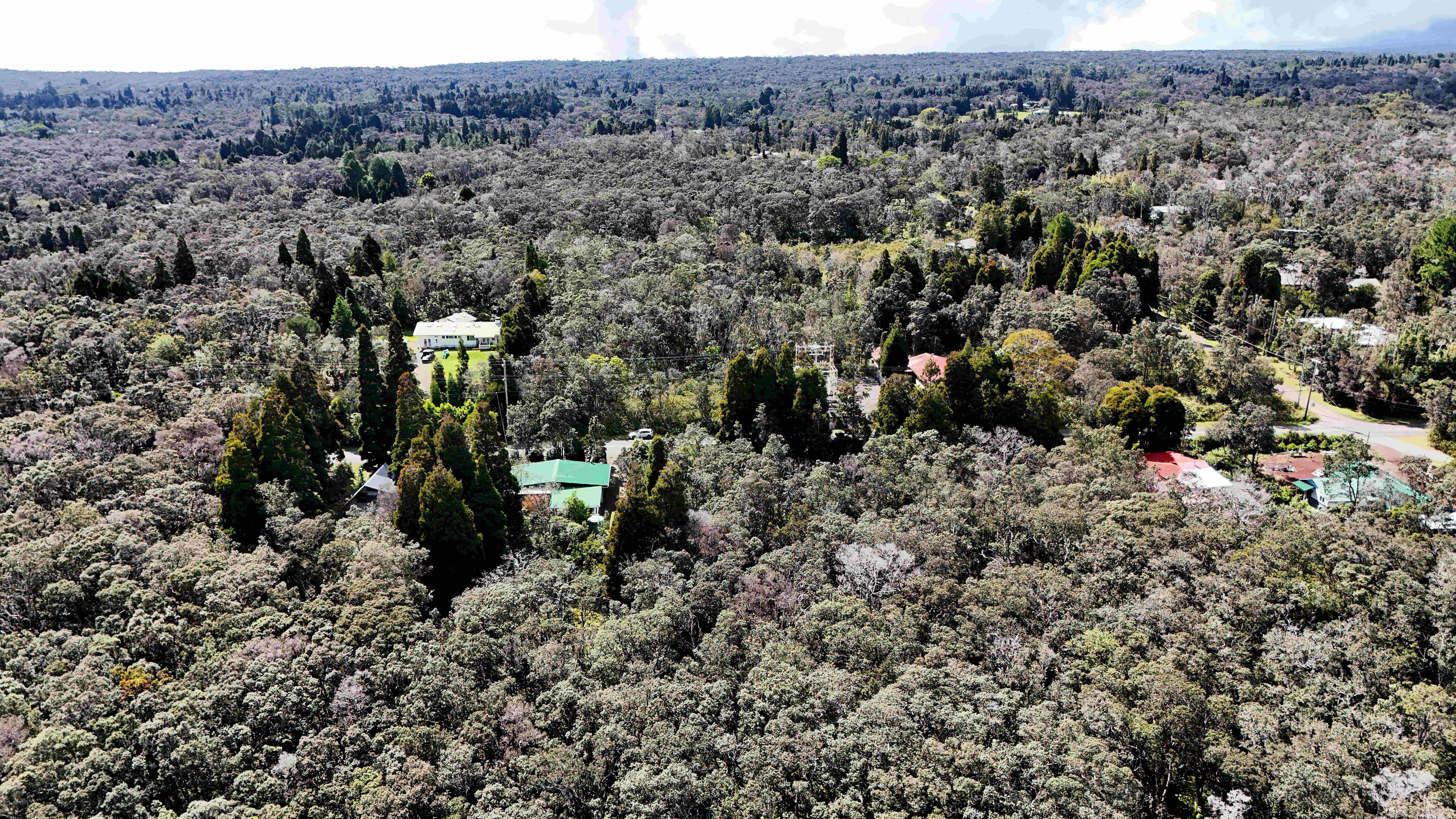 14 E Wright Road Volcano, HI 96785 - Photo 11 of 17 a view of a dry field