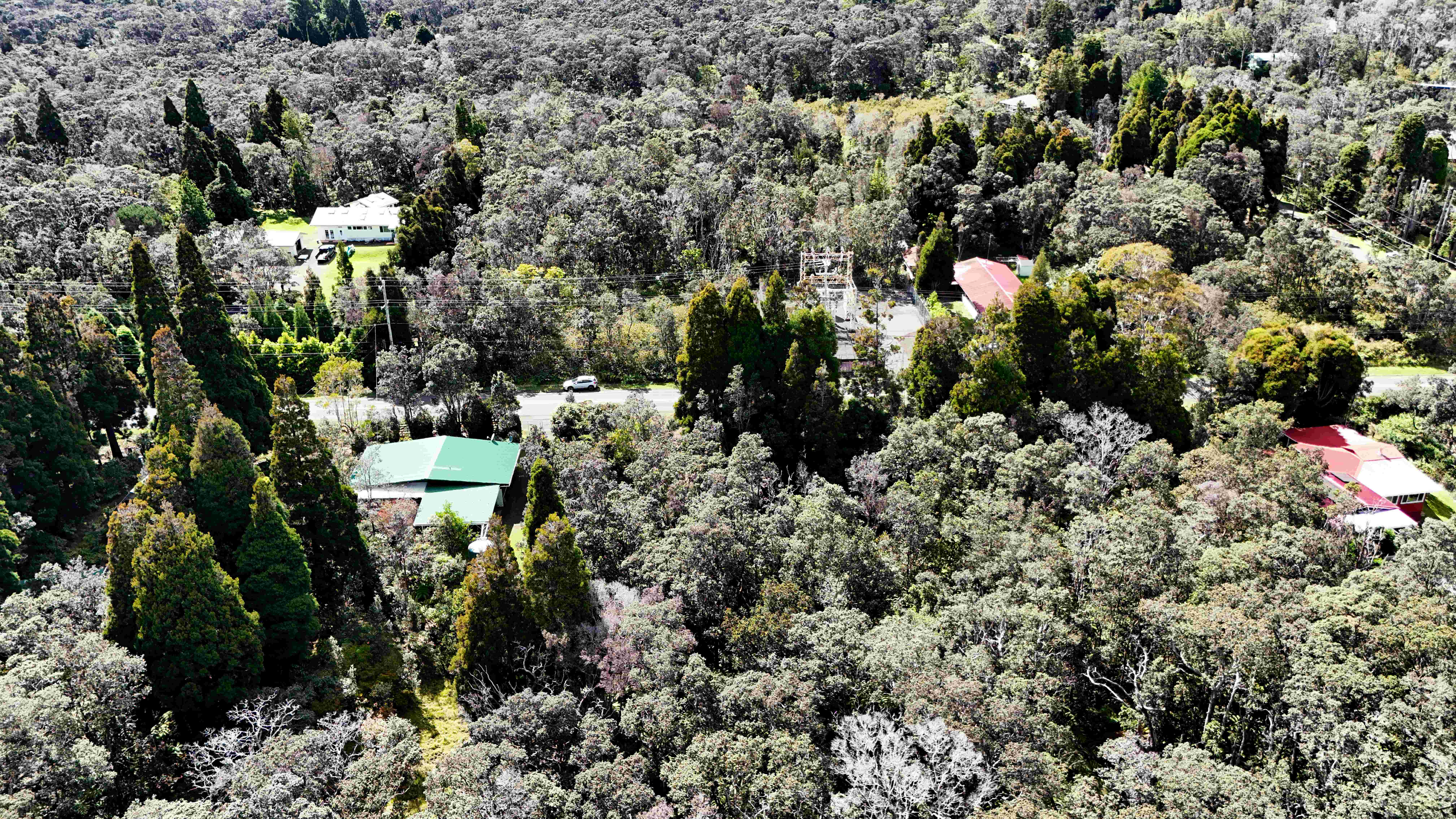 14 E Wright Road Volcano, HI 96785 - Photo 12 of 17 a view of yard