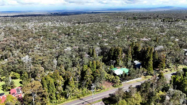 $99,000 | 14 Wright Road, Volcano, HI 96785