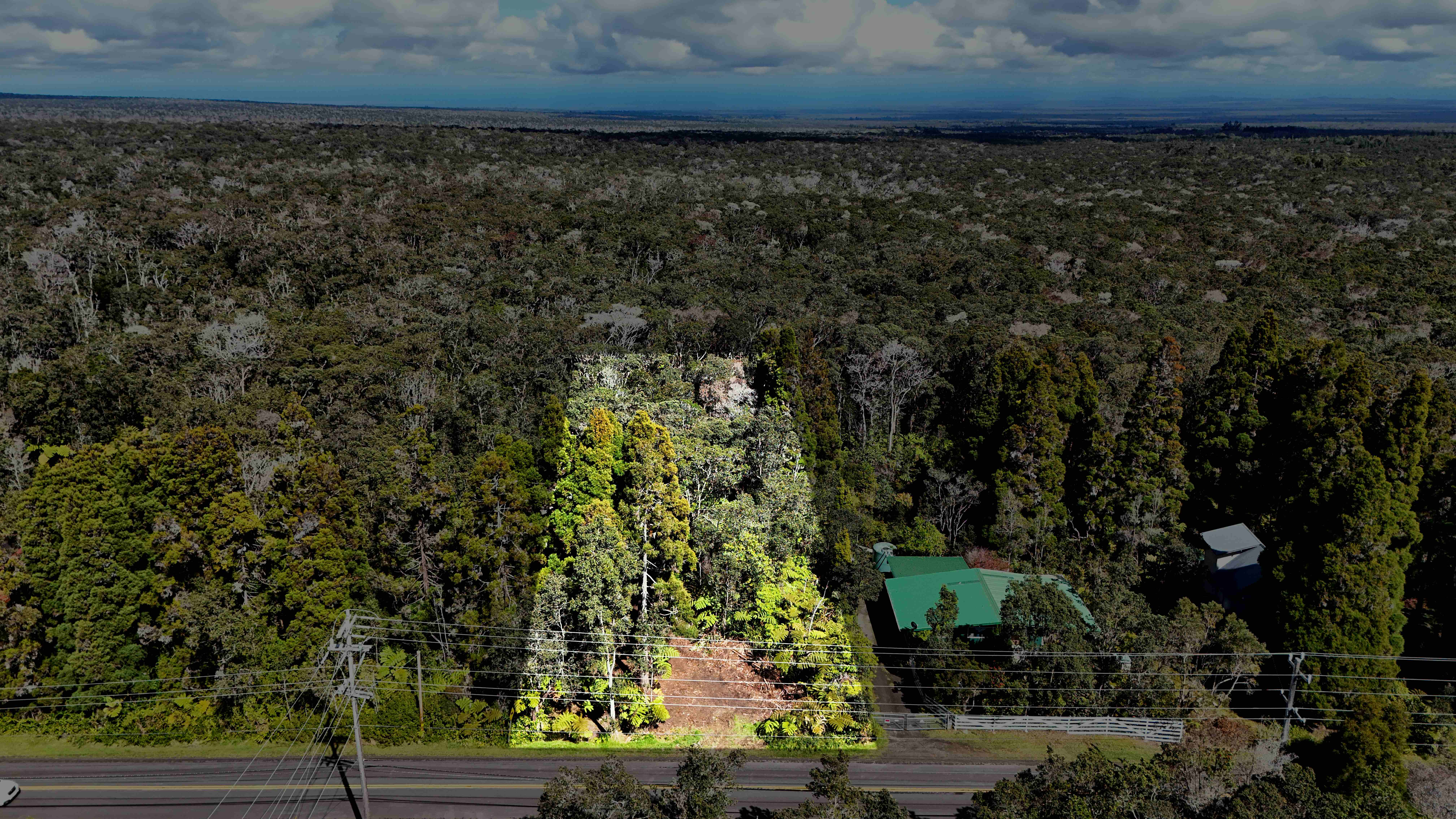 14 E Wright Road Volcano, HI 96785 - Photo 16 of 17 a view of a yard