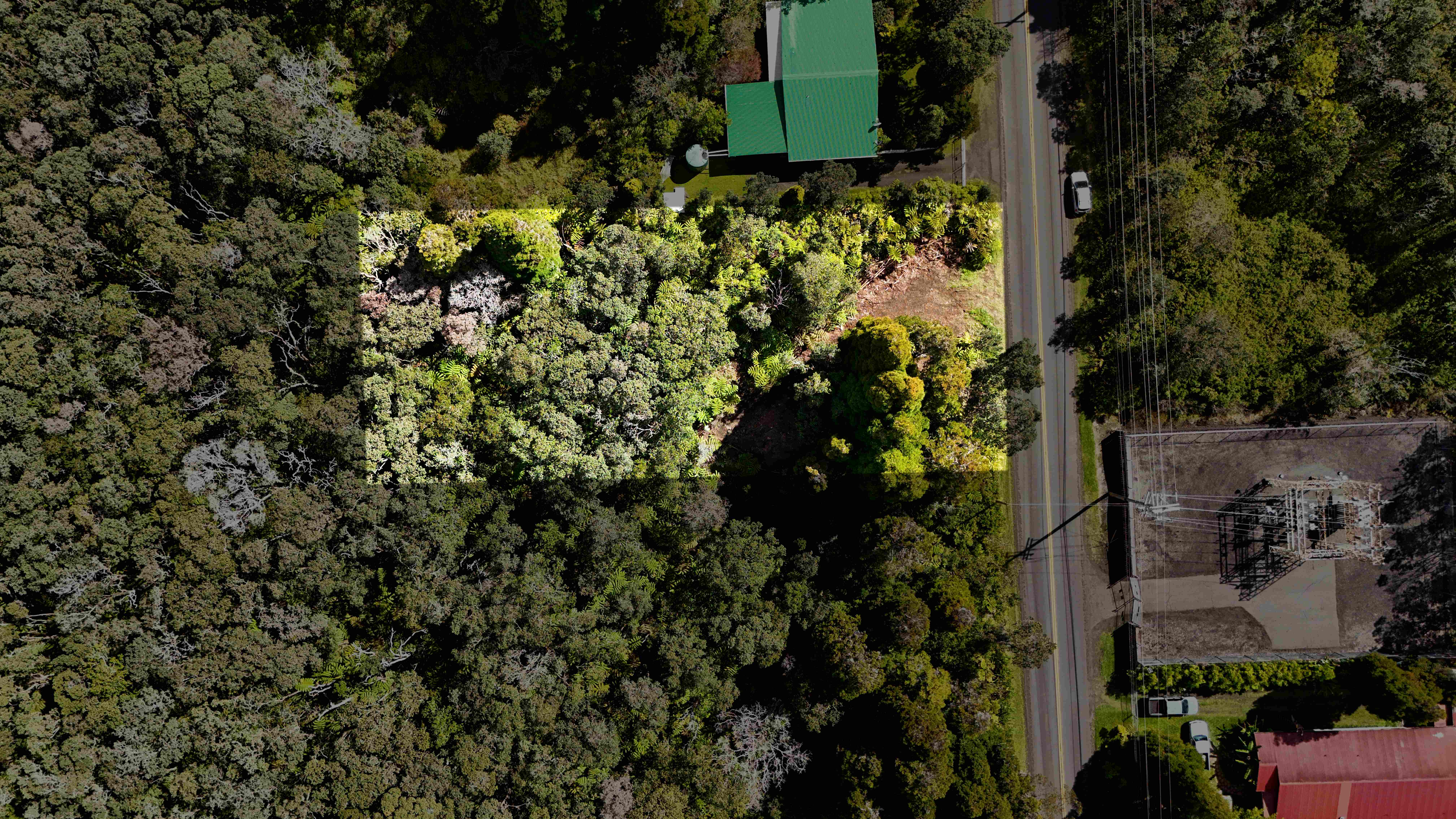 14 E Wright Road Volcano, HI 96785 - Photo 2 of 17 an aerial view of a house with a yard