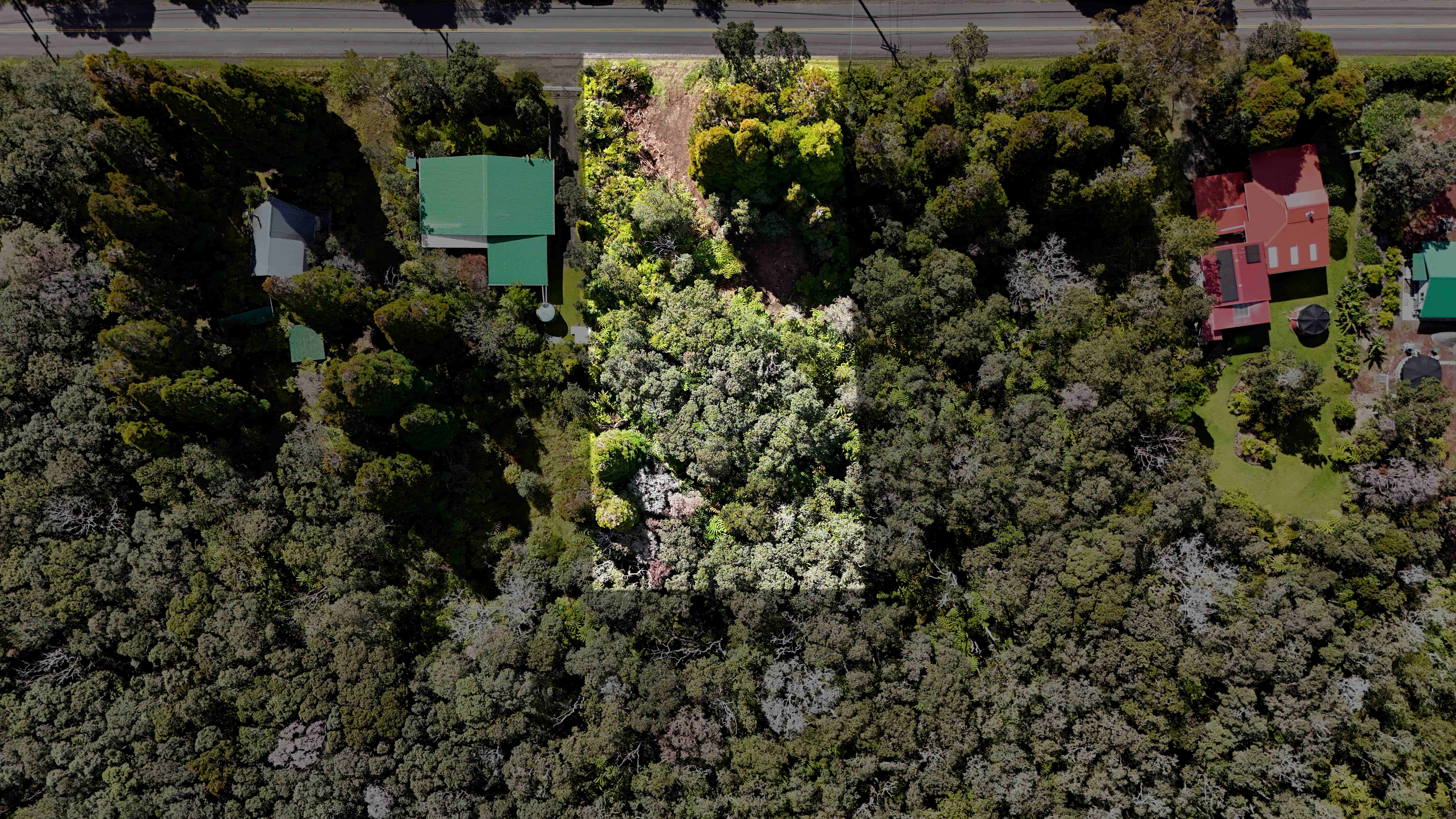 14 E Wright Road Volcano, HI 96785 - Photo 3 of 17 an aerial view of residential house with outdoor space and trees all around