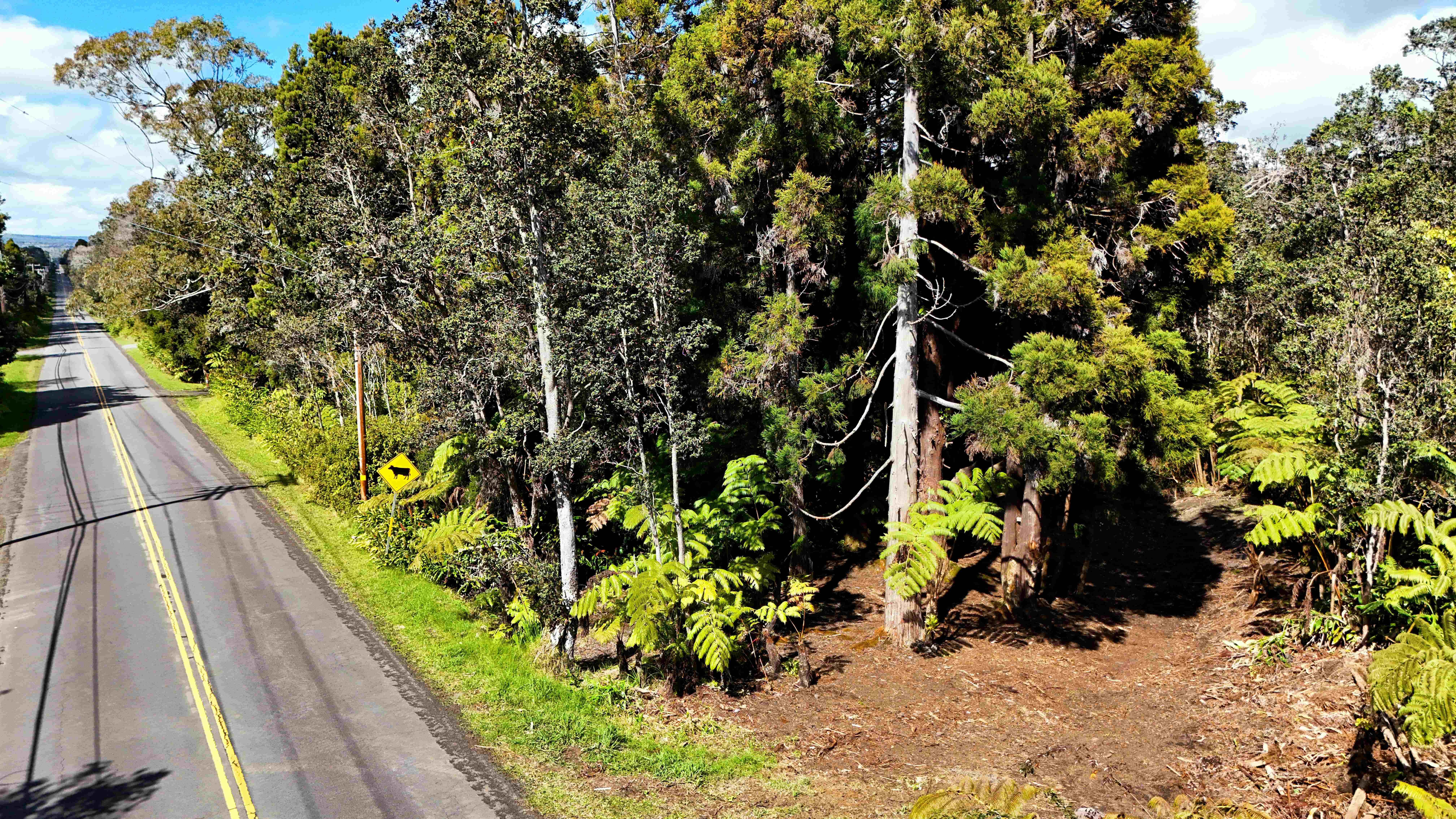 14 E Wright Road Volcano, HI 96785 - Photo 5 of 17 a view of a garden