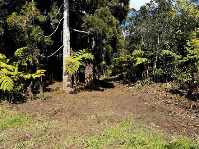 $99,000 | 14 Wright Road, Volcano, HI 96785