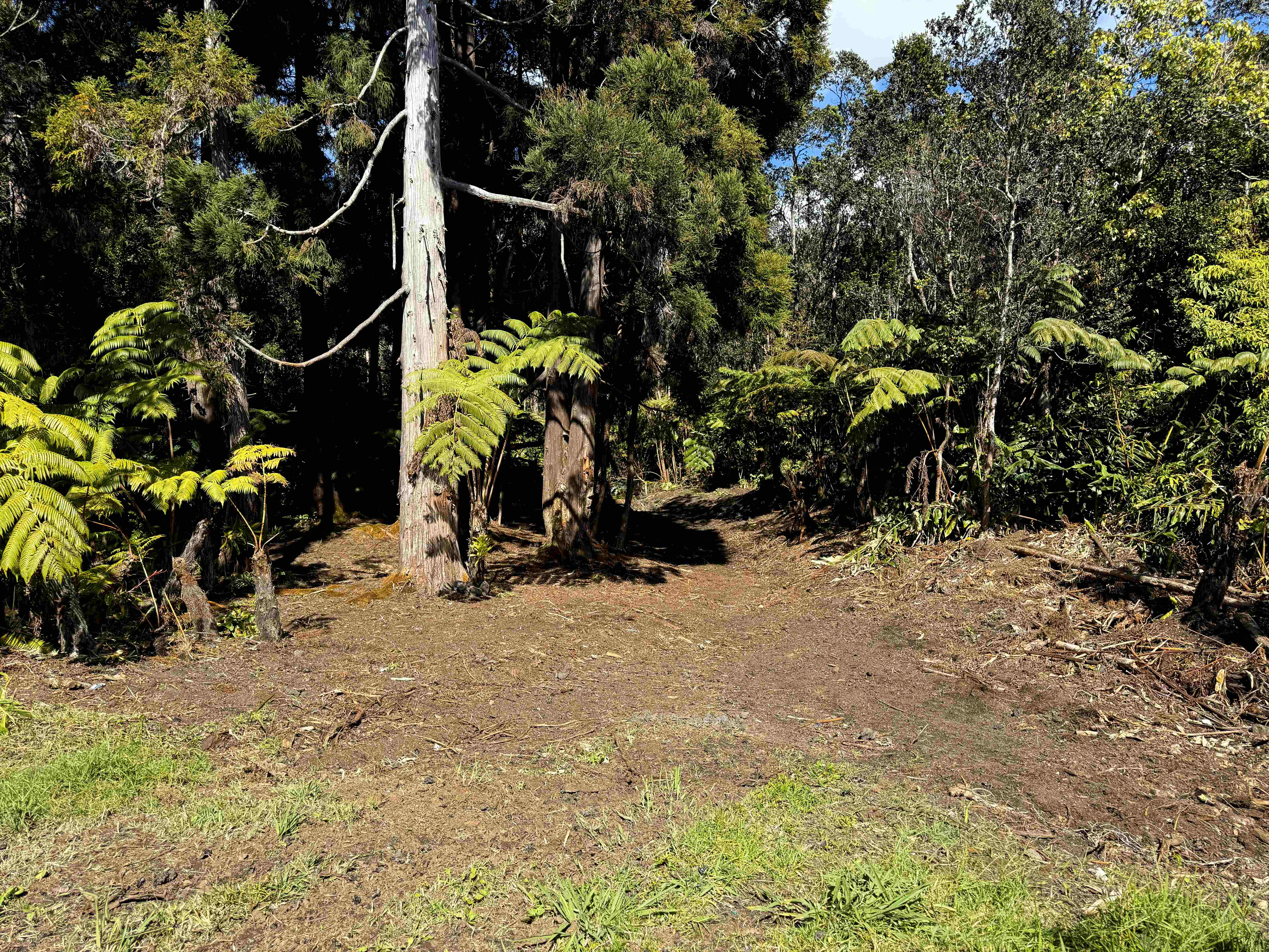 14 E Wright Road Volcano, HI 96785 - Photo 6 of 17 a view of a backyard of the house