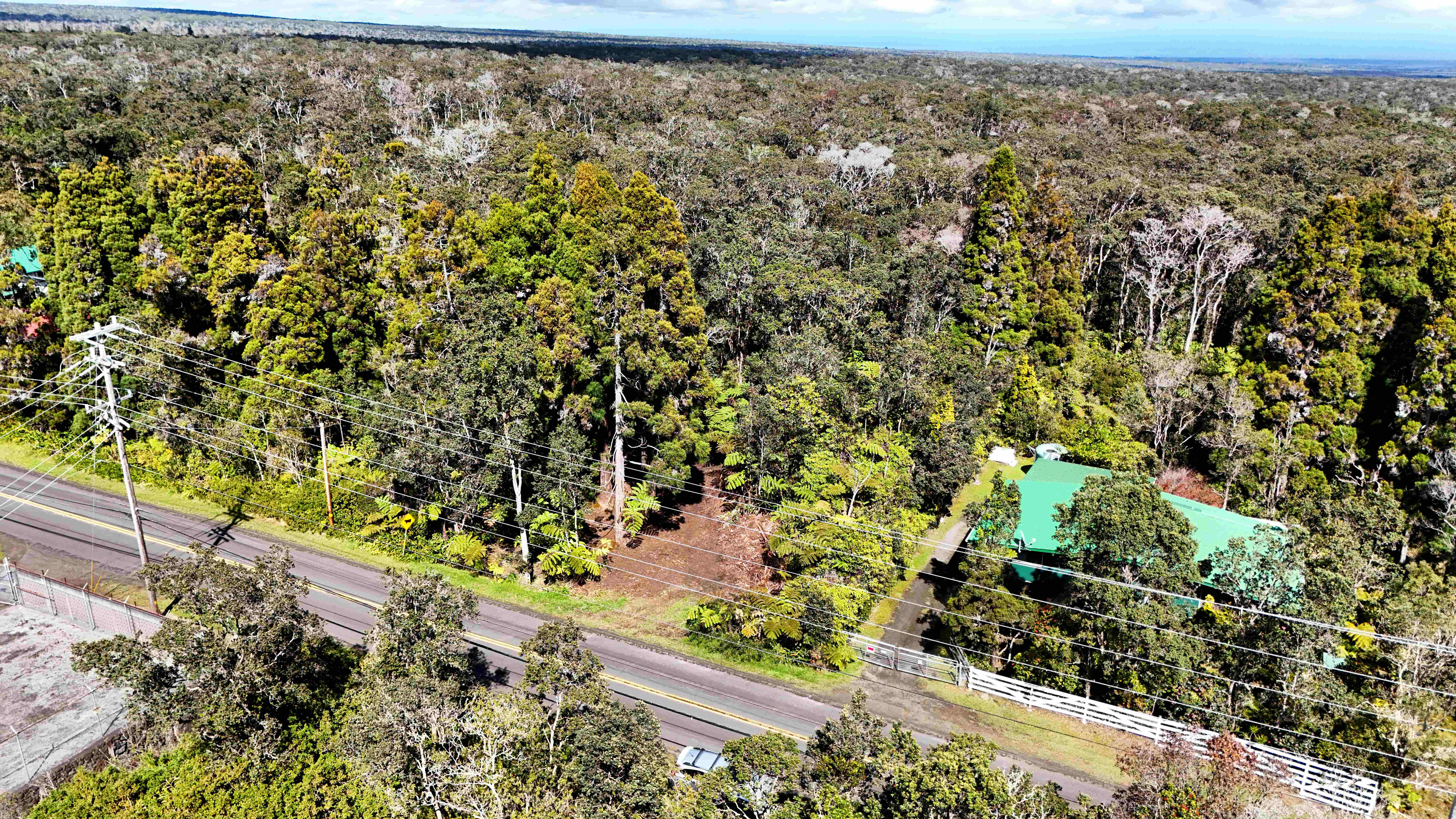 14 E Wright Road Volcano, HI 96785 - Photo 7 of 17 a view of a yard with plants