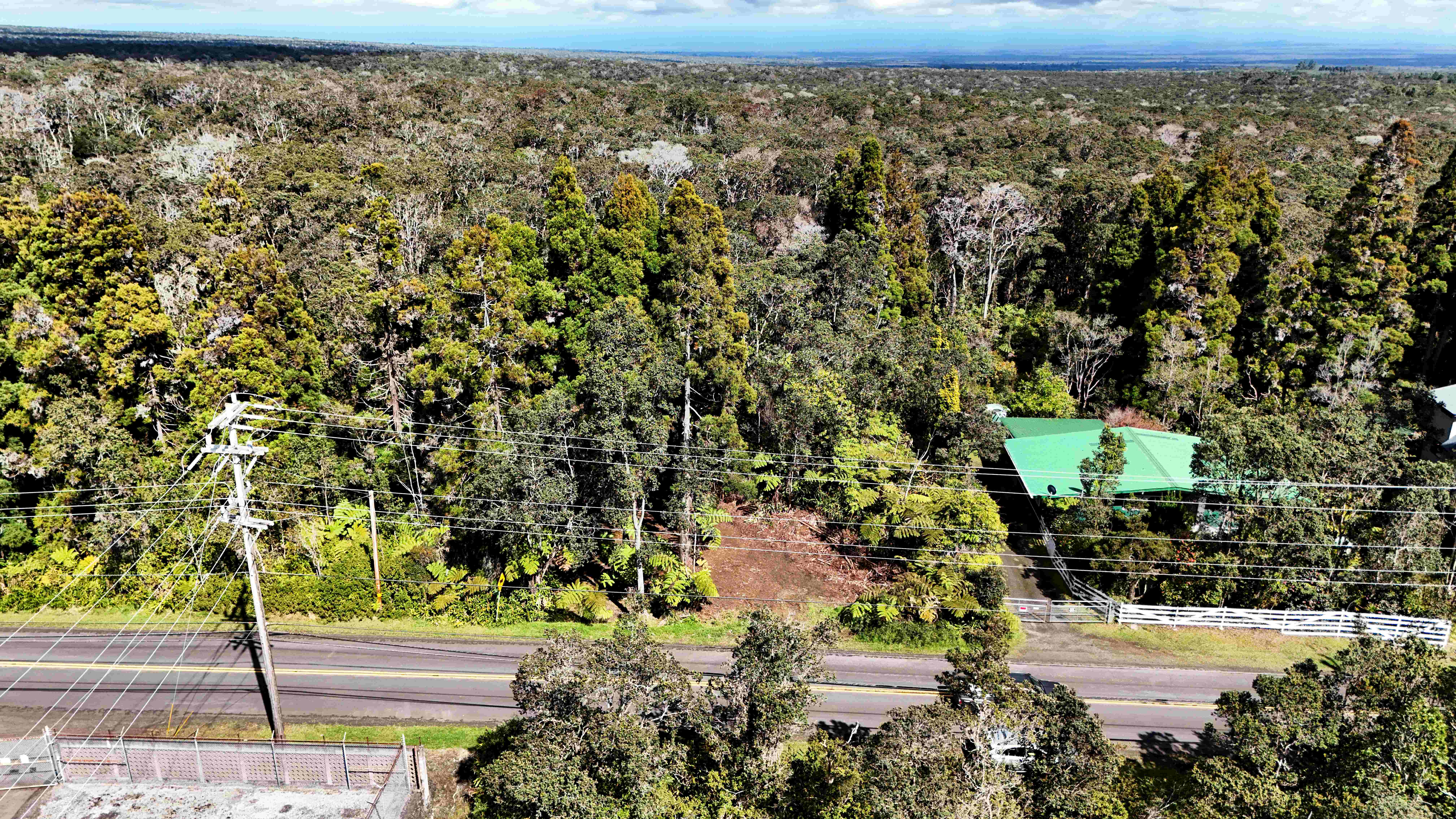 14 E Wright Road Volcano, HI 96785 - Photo 8 of 17 a view of a yard with a tree