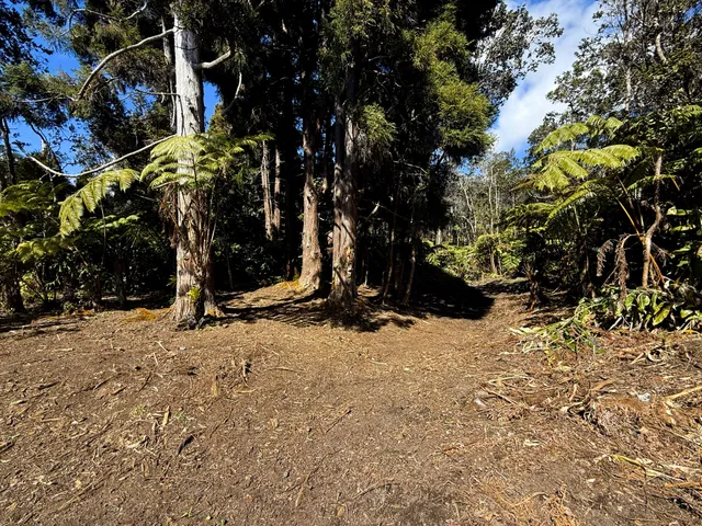 $99,000 | 14 Wright Road, Volcano, HI 96785