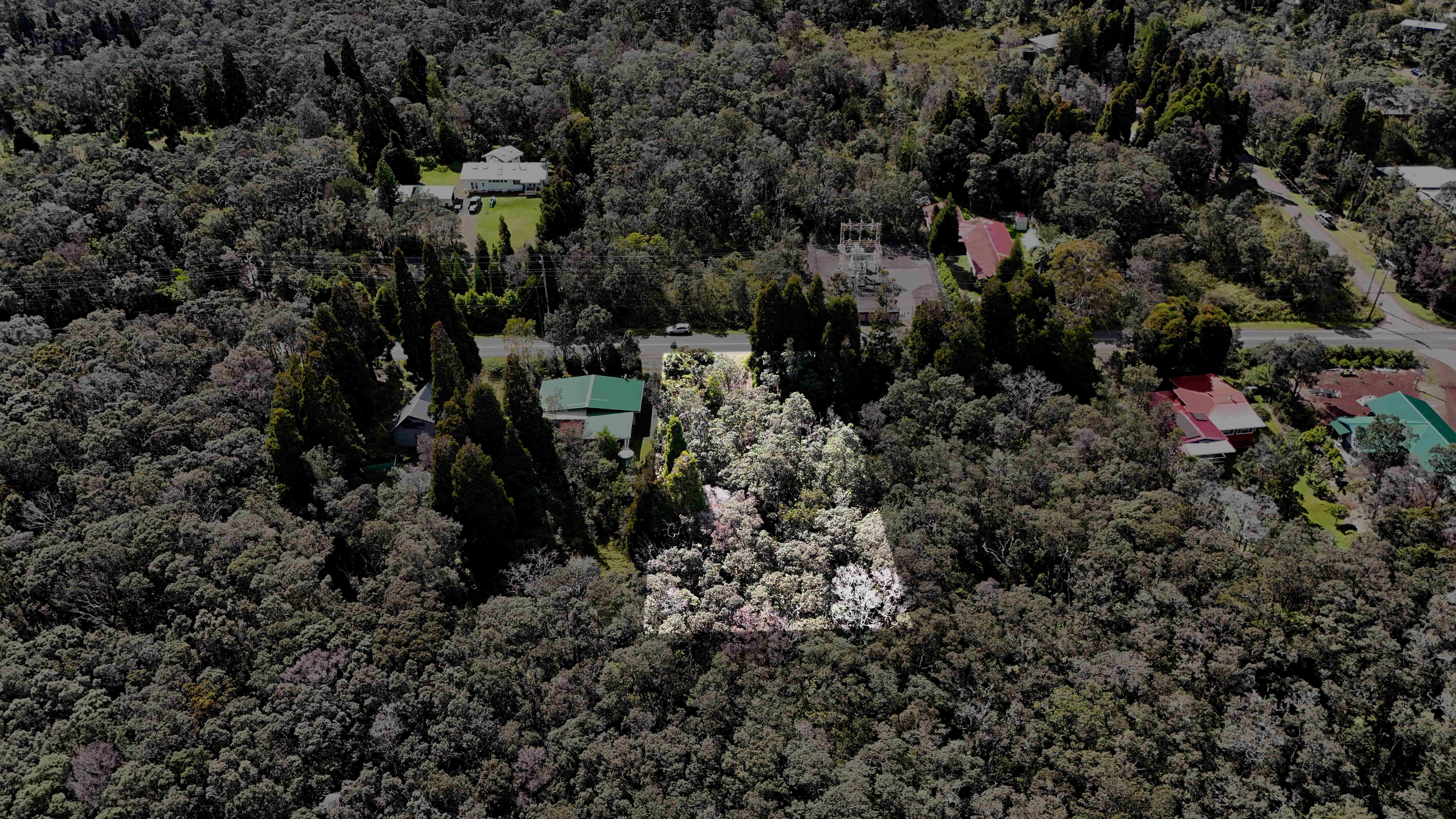 14 E Wright Road Volcano, HI 96785 - Photo 10 of 17 a view of outdoor space and covered with trees