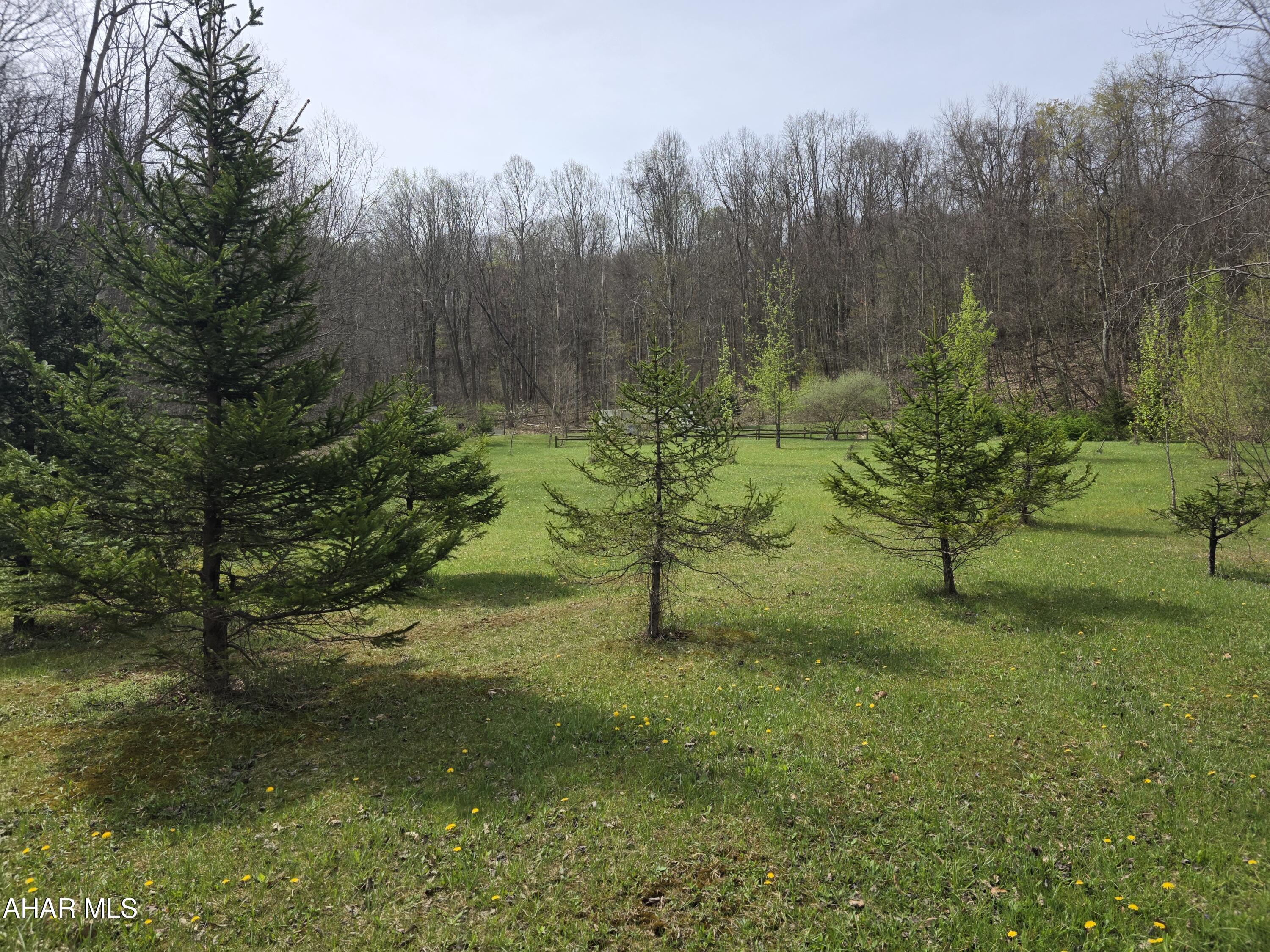 0 Sylvis Road Westover, PA 16692 - Photo 5 of 8