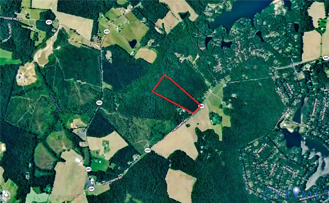 25.5-acres Ladysmith Road Ruther Glen, VA 22546 - Photo 40 of 42 Gallery Image 40