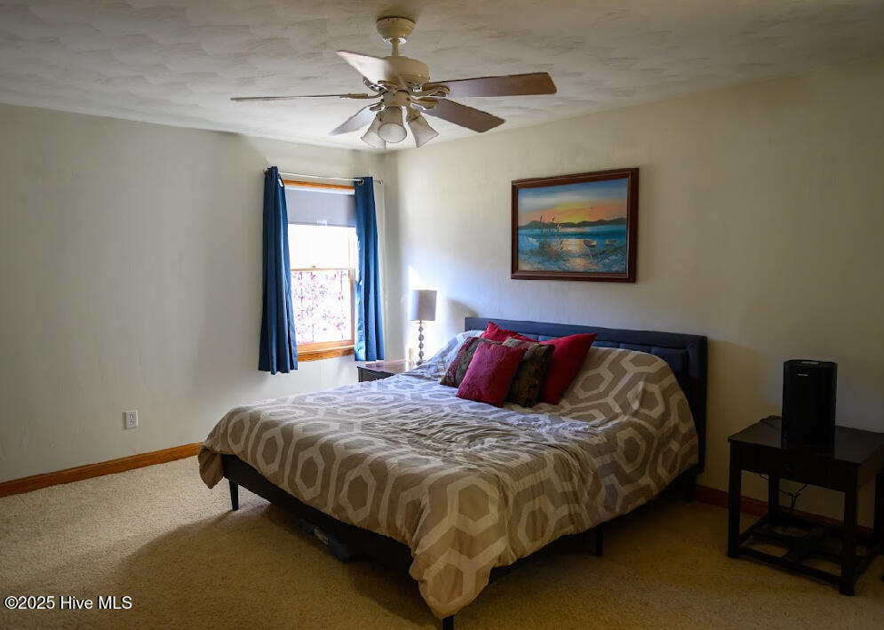 240 Woodleigh Road Knotts Island, NC 27950 - Photo 20 of 42 IMG_1388