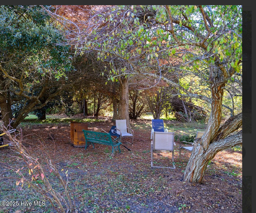 240 Woodleigh Road Knotts Island, NC 27950 - Photo 29 of 42 IMG_1416