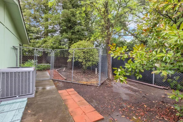 a view of a pathway with a tree