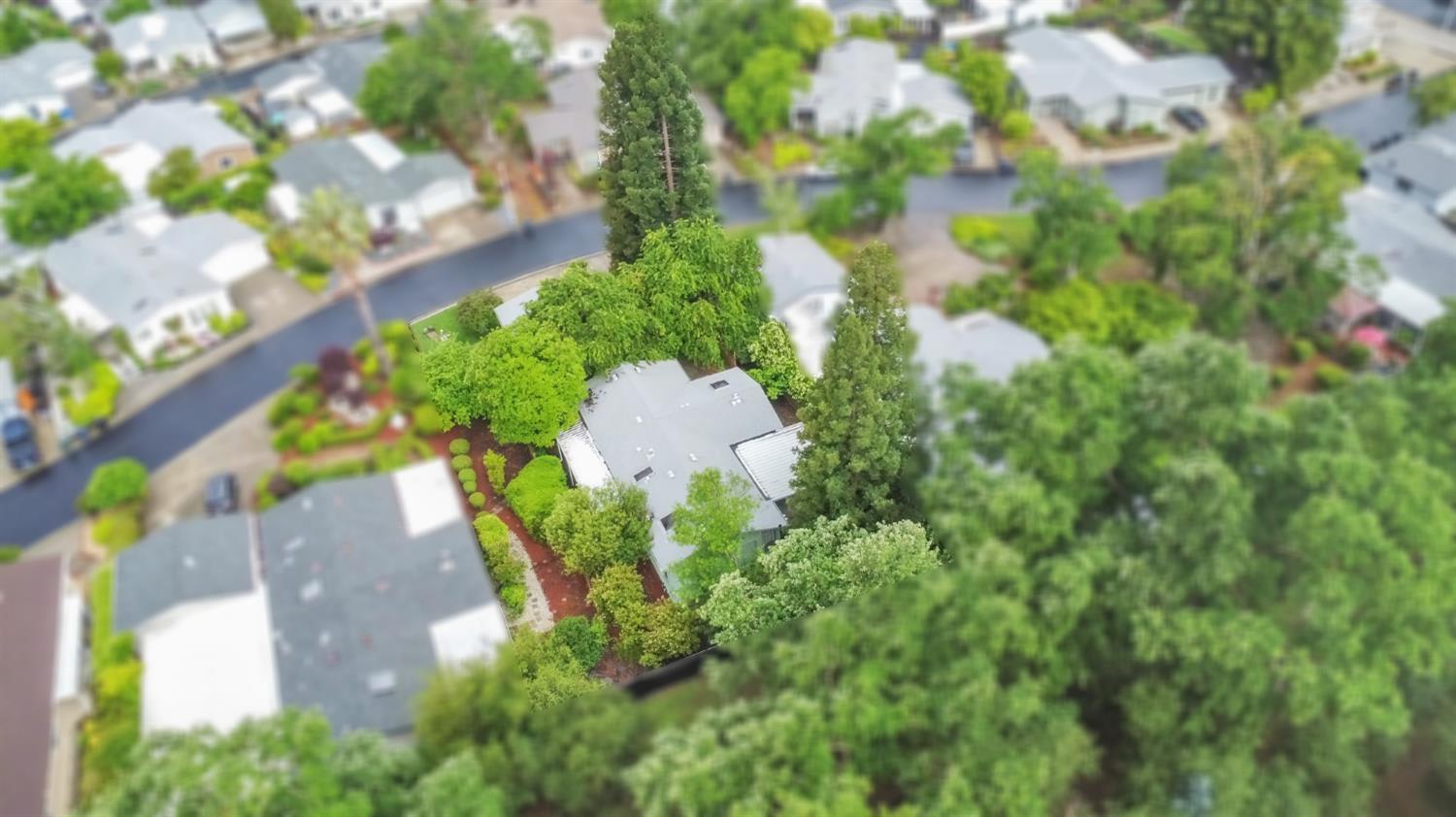 7119 Daisy Lane Citrus Heights, CA 95621 - Photo 35 of 37