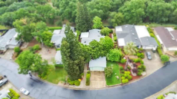a view of a garden with a fountain