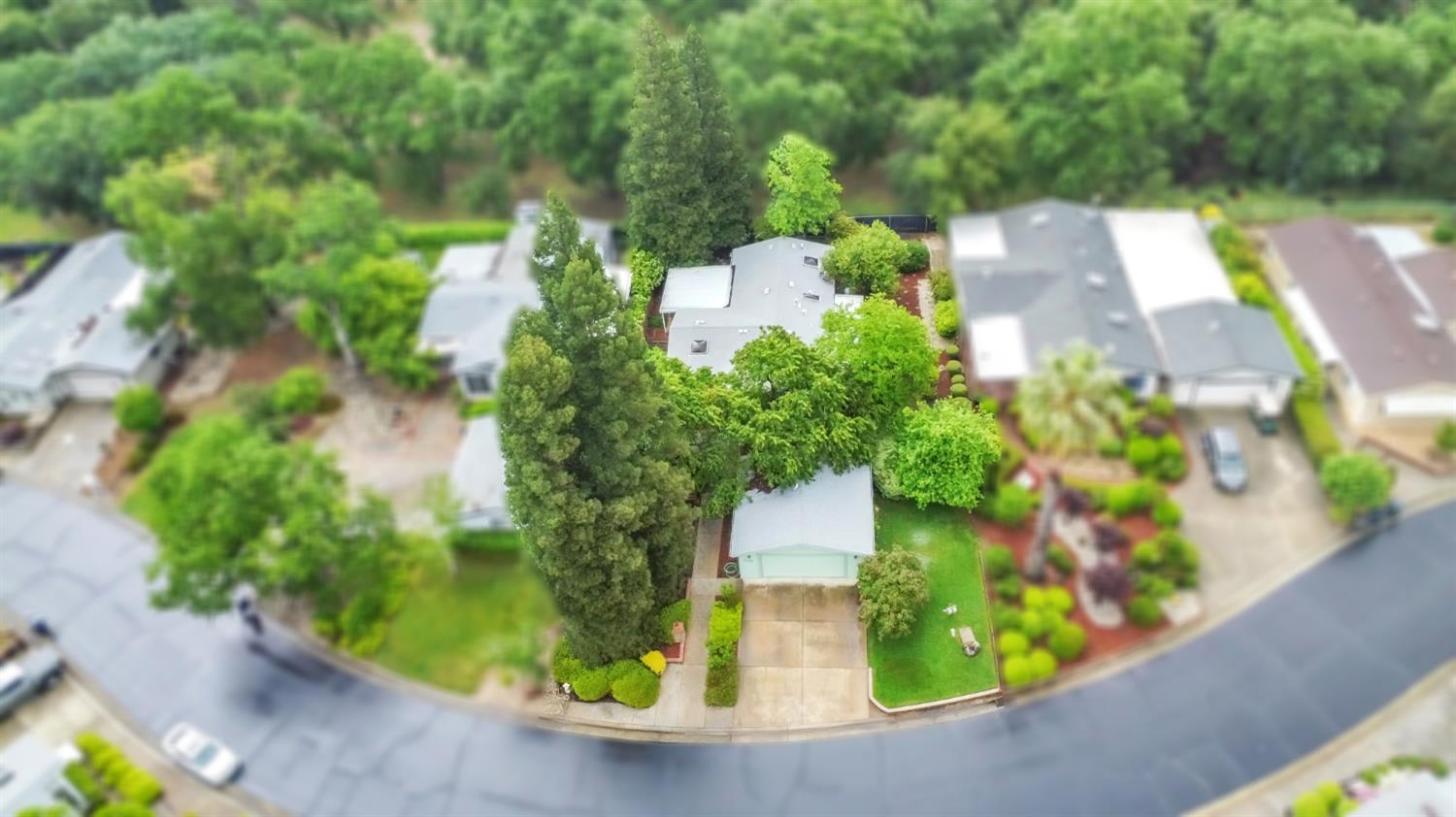 7119 Daisy Lane Citrus Heights, CA 95621 - Photo 37 of 37