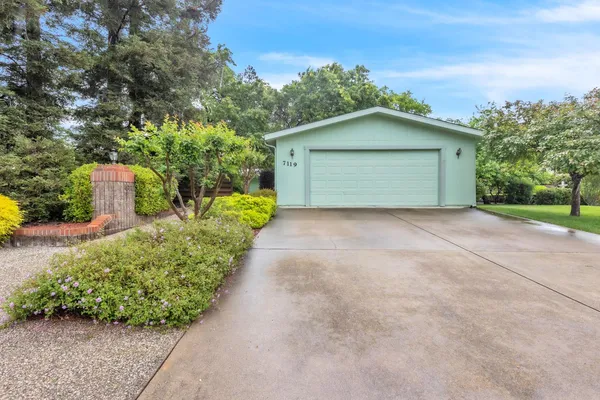 a view of a house with a yard plants and large tree