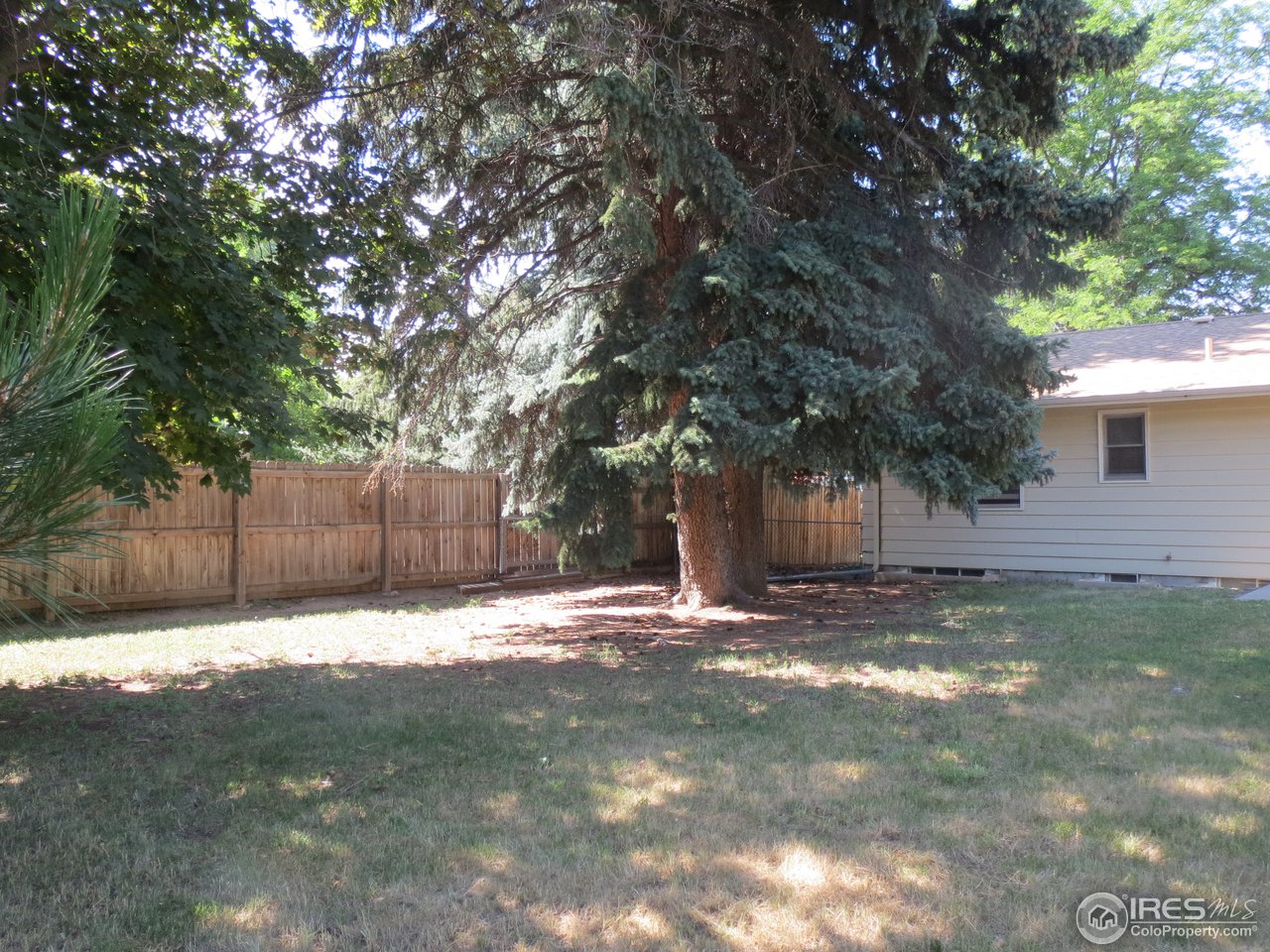 723 East Prospect Road Fort Collins, CO 80525 - Photo 16 of 18 a backyard of a house with large trees and wooden fence