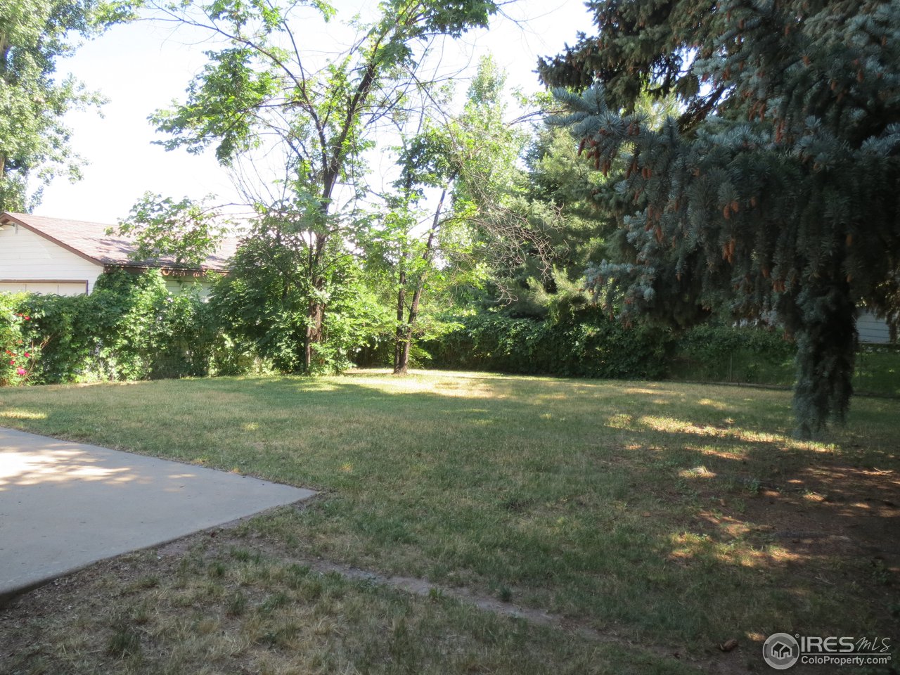 723 East Prospect Road Fort Collins, CO 80525 - Photo 18 of 18 a view of a tree with a yard