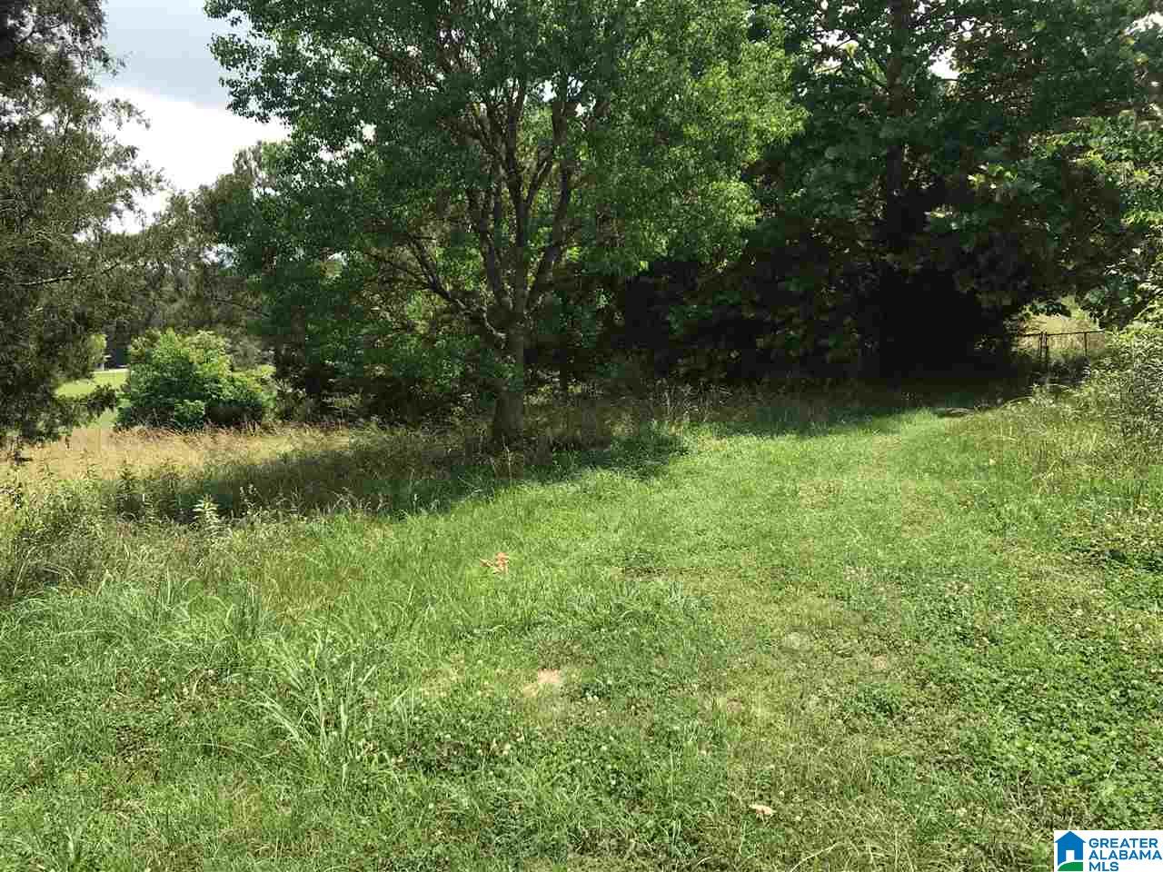 Leach Cemetery Road, Unit 8 Helena, AL 35080 - Photo 1 of 1