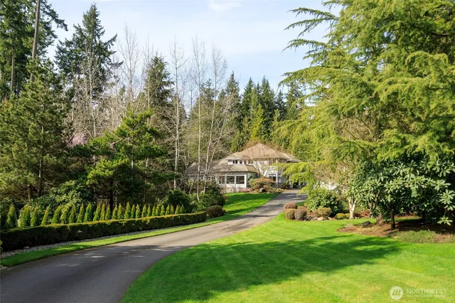 a view of a park with large trees and a cars parked on road
