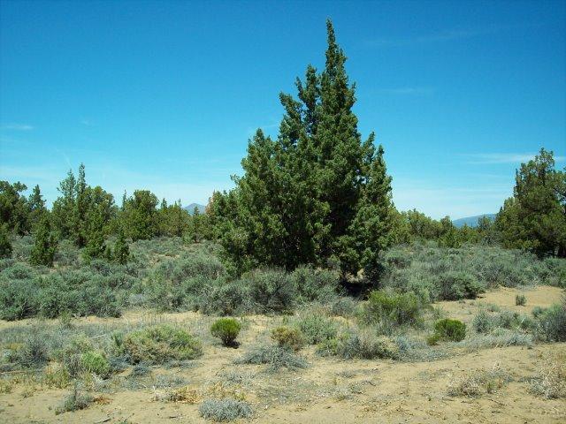 18299 Southwest Mount Adams Loop Powell Butte, OR 97753 - Photo 14 of 14 Additional Photo