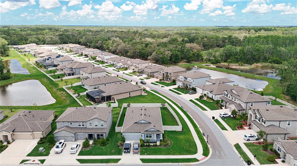 12687 Retreat Place Spring Hill, FL 34610 - Photo 48 of 64